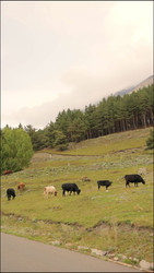 Similar image 22208252