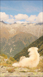 Similar image 22208253