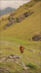 Similar image 22208254