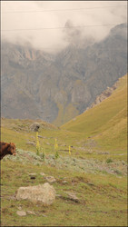 Similar image 22208256