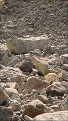 Similar image 22208257