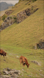 Similar image 22208258