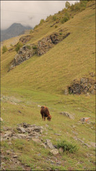 Similar image 22208260