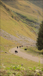 Similar image 22208262