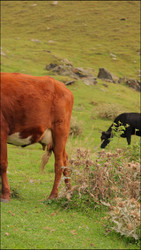 Similar image 22208263