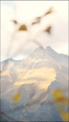 Similar image 22208408