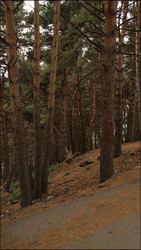 Similar image 22208410