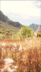 Similar image 22208411