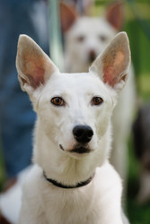 Similar image 22208412