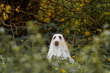 Similar image 22208413