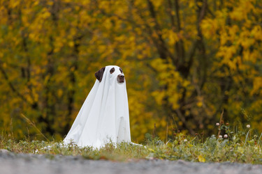 Similar image 22208416