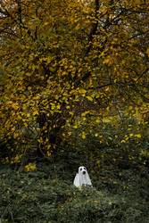 Similar image 22208417