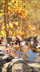 Similar image 22208418