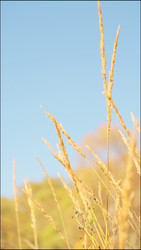 Similar image 22208419