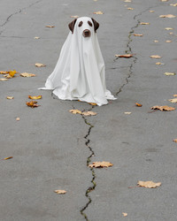 Similar image 22208420