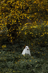 Similar image 22208421