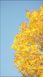 Similar image 22208422