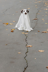 Similar image 22208527