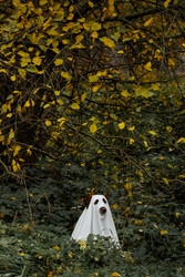 Similar image 22208528