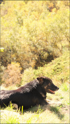 Similar image 22208529