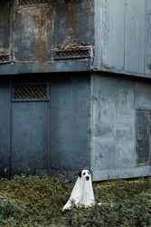 Similar image 22208530