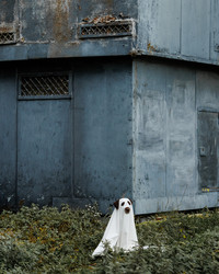 Similar image 22208532