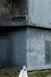 Similar image 22208534