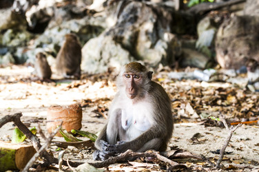 Similar image 22199715