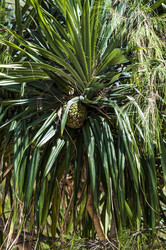 Similar image 22199718