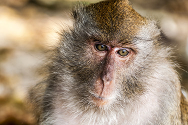 Similar image 22199719