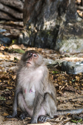 Similar image 22199720