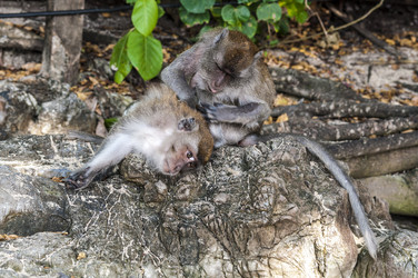 Similar image 22199723