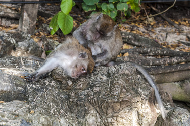 Similar image 22199724