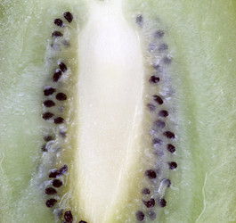 Similar image 22200712