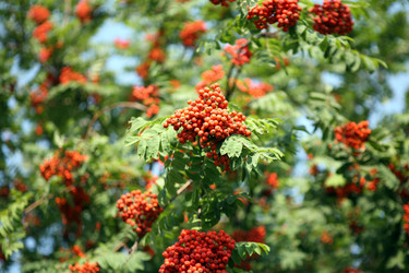 Similar image 22200720