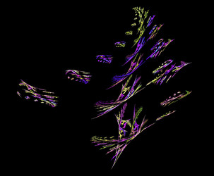 Similar image 22200732