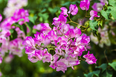 Similar image 22199830