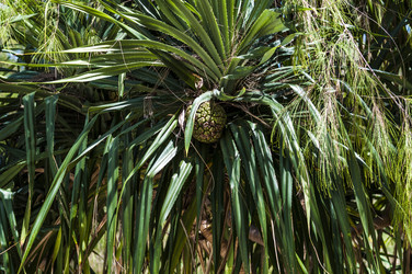 Similar image 22199747