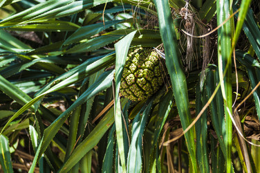 Similar image 22199749