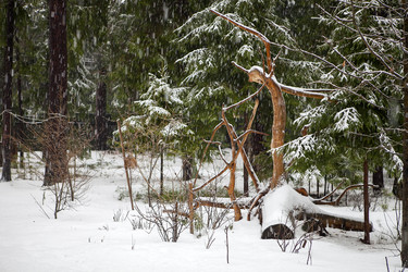 Similar image 22199239