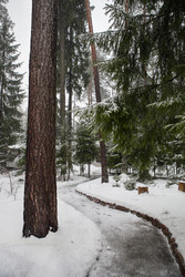 Similar image 22199240