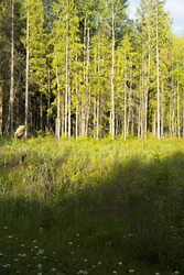 Similar image 22199247