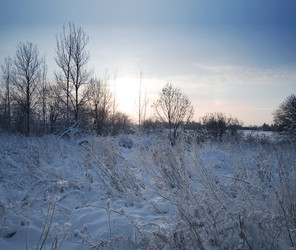 Similar image 22199248