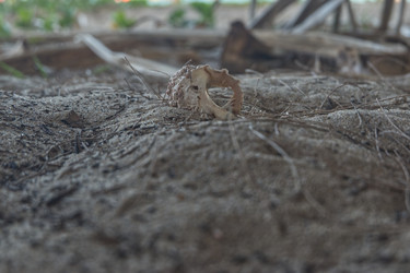 Similar image 22199578