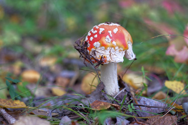 Similar image 22199579