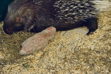 Similar image 22199581