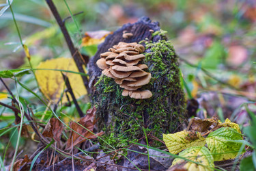 Similar image 22199583