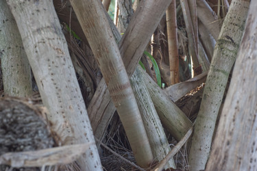 Similar image 22199589