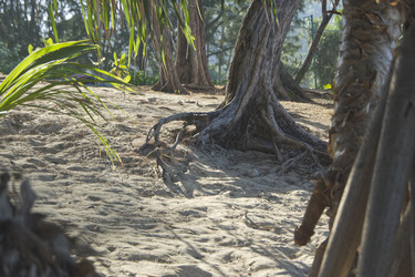 Similar image 22199590