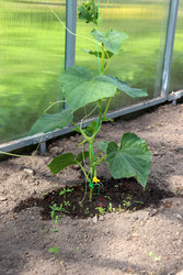 Similar image 22203607